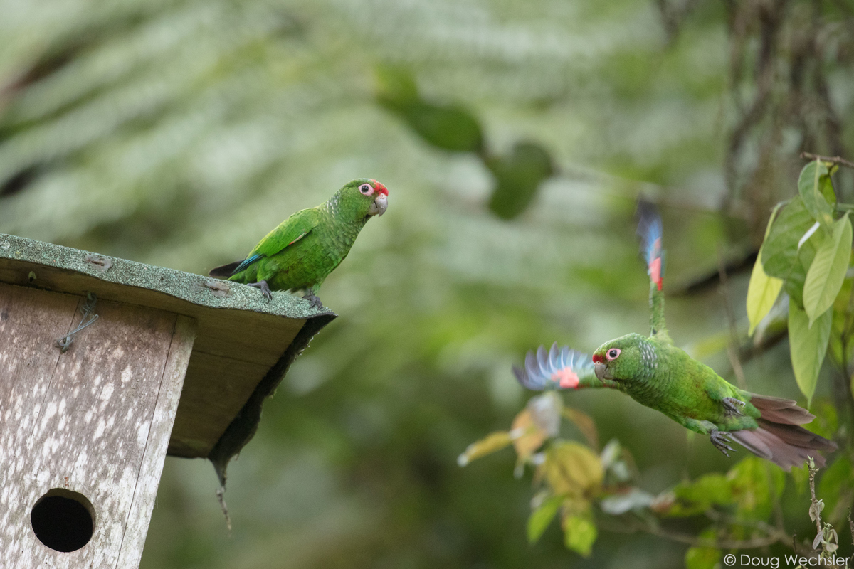 Otros aspectos importantes